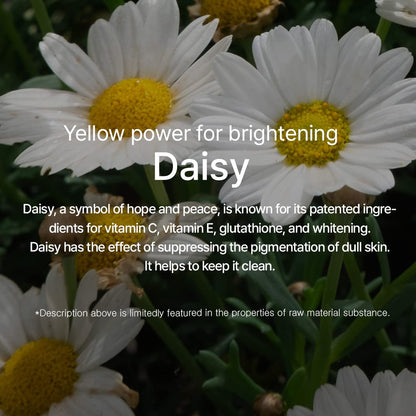 mixsoon Daisy Essence – Brightening and Hydrating Daily Serum 100ml