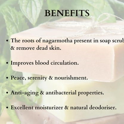 namo organics - Nagarmotha Root 100gm (Raw) | Nagarmotha | Cyperus Rotundus Rhizome | Cyperus Rotundus Rhizome - Nut Sedge Root - Pure & Natural (100 Grams)