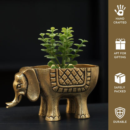 BEHOMA Metal Elephant for Good Luck, Golden - Set of 2