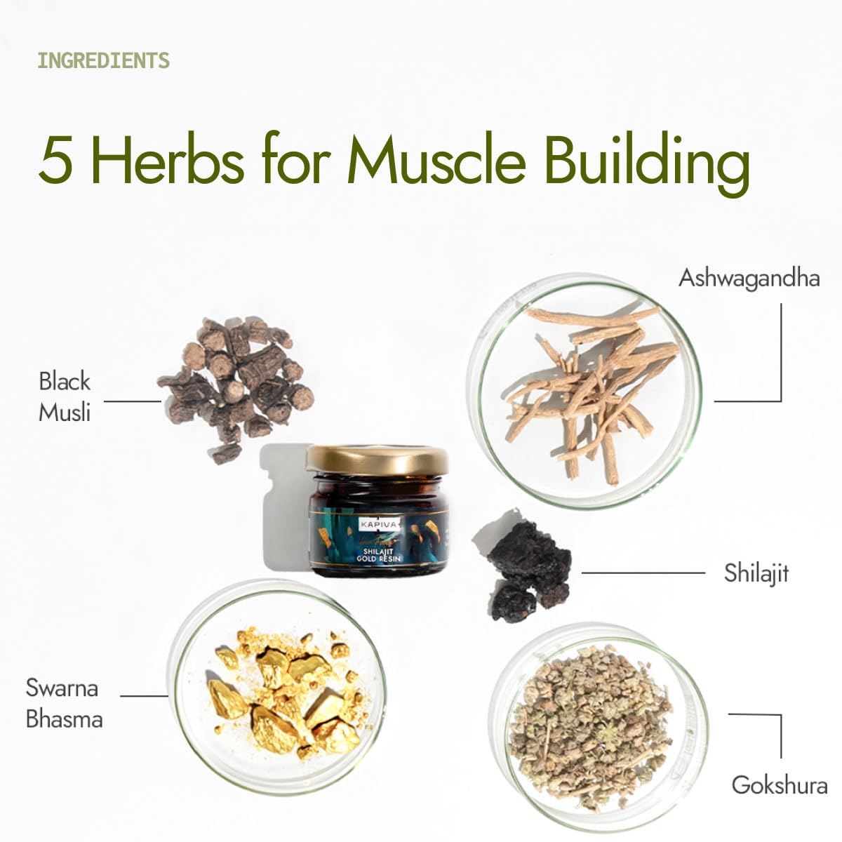 Illustration of 5 herbs for muscle building with labels on a white background