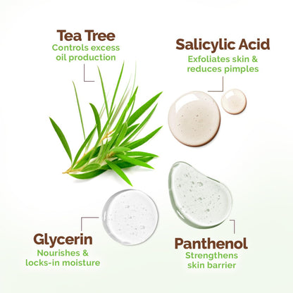 Mamaearth Tea Tree Oil Control Face Pack With Tea Tree & Salicylic Acid For Normal To Oily Skin - 200G,Diy-Like Texture,Controls Sebum Production & Acne,Clay Face Mask,Free From Harmful Chemicals