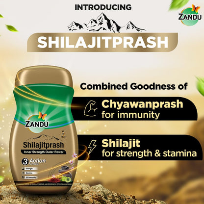 Zandu Shilajitprash | Dual Goodness of Chyawanprash & Shilajit/Shilajeet | Strength, Stamina & 2X immunity* | 450g I 24K Gold Bhasma & 47 Potent Herbs I No added sugar I 100% ayurdevic