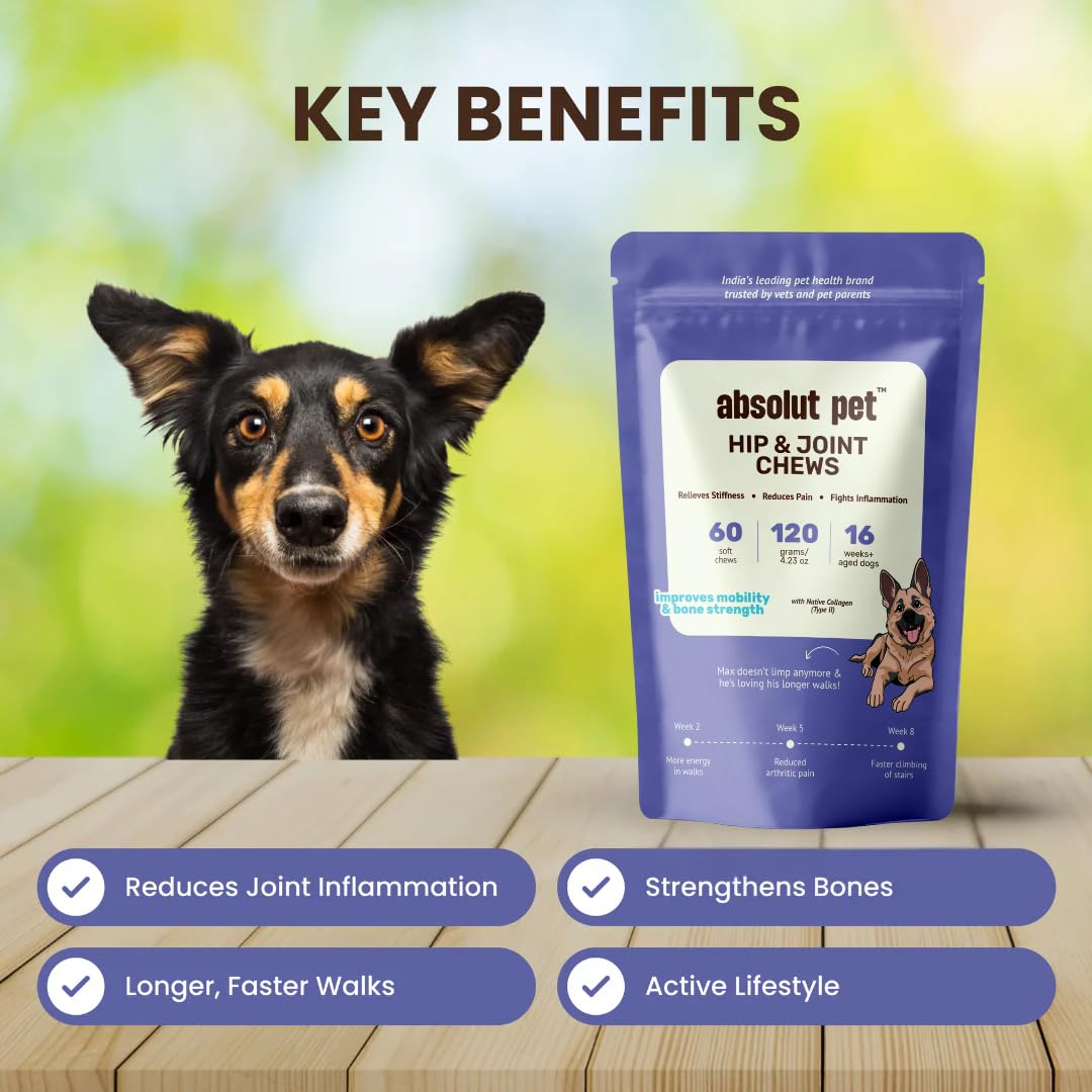 Absolut Pet Hip & Joint Chews for Dogs, Glucosamine & Mobility | 60 Chews | Glucosamine, chondroitin & collagen chews that improve mobility, strengthen bones & support ageing joints in dogs.