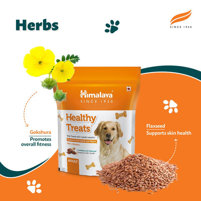 Himalaya Wellness Company Healthy Dog Biscuit Treats (Adult) , Chicken, 1Kg