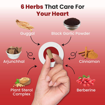 ZEROHARM Holo Heart Tablets | Plant-based Heart Health Supplements | Prevents Coronary Artery Diseases, Heart Blockages for Men & women | Manages Lipid Profile Advanced Nanotechnology | 60 Tablets