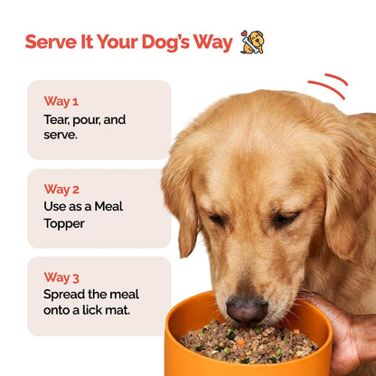 Goofy Tails Chicken & Quinoa Wet Dog Food 100g Wholesome, Human Grade, Preservative & Gluten Free, Taste Booster & Food Topper