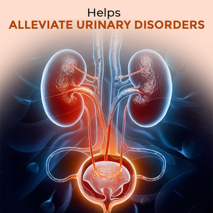 Gokhru Powder - A Natural And Pure Essential Nutrient Rich Remedy For Kidney Health And Urinary Tract Infections(100 GM) (PACK OF 1)