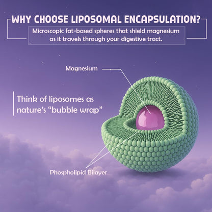 BeastLife Triple Liposomal Magnesium | 3-in-1 Formula with Magnesium Glycinate, Magnesium Oxide & Liposomal Magnesium Oxide | Maximum Absorption | Supports Sleep, Stress & Mood | Muscle, Bone & Nerve Health | 60 Capsules