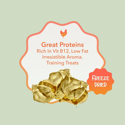 Rawr4dogs Zoomy Dog Treats | Freeze-Dried Chicken Gizzards | 45 GMS | 100% Natural Dog Treats | No preservatives or additives,All Life Stages