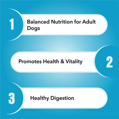 Purepet Adult Dry Dog Food 1kg | Chicken & Vegetable Flavour | Promotes Health & Vitality | Immune Support | Healthy Digestion | Nutrient Rich