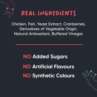 Meowsi by HUFT Power Bites Cat Treats – Chicken, Fish & Cranberry – 50 gm | Irresistible Treats for Cats & Kittens | Persian Cat Favourite | Fun & Nutritious
