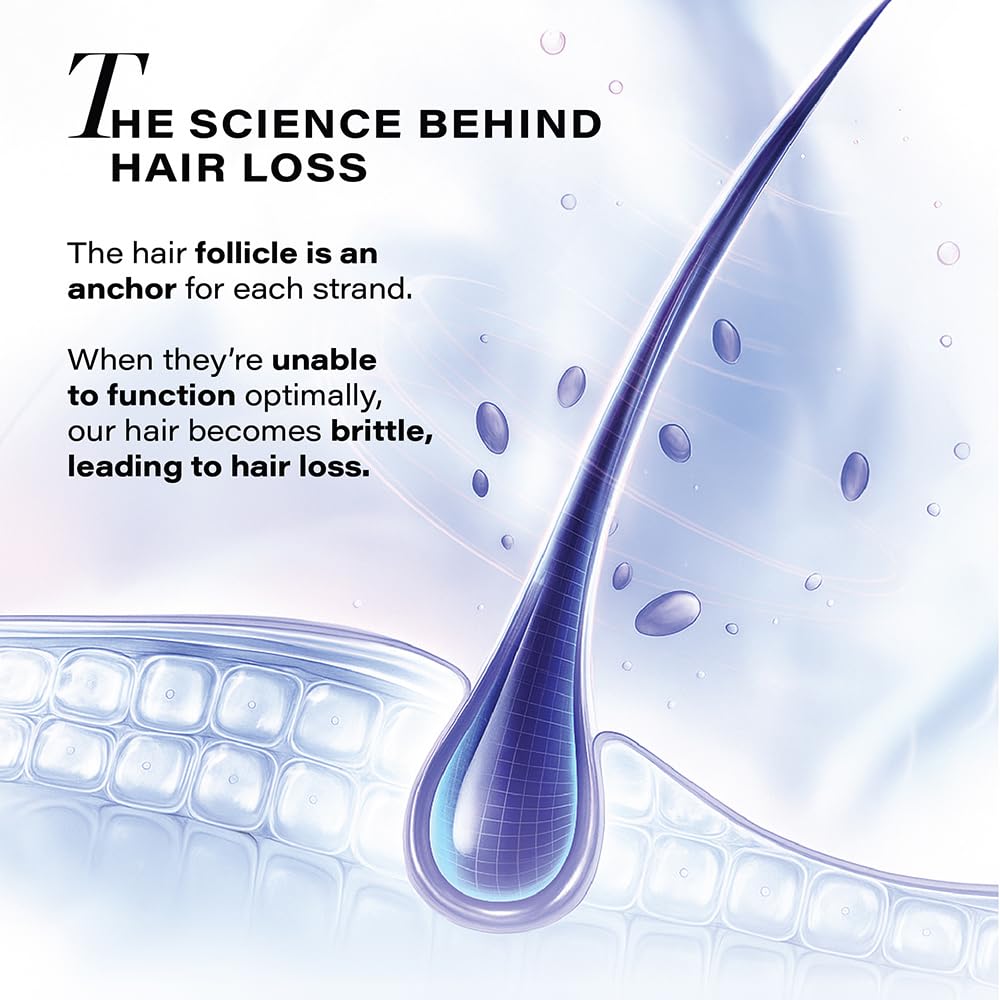 Hair follicle illustration with text explaining hair loss science on a light blue background
