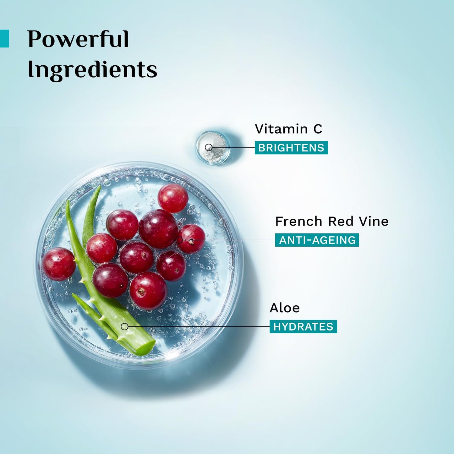 Pilgrim French Red Vine Face Wash with Vitamin C & goodness of Aloe for Anti Ageing & Dark Spots |Face wash for dry skin | Face cleanser for dry skin | Men and Women|100ml