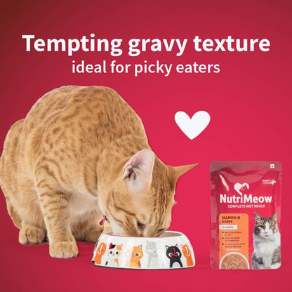 NutriMeow Salmon in Gravy Adult Cat Wet Food - 80gm | Delicious & Healthy Cat Pouch | Protein-Packed, Nutritious & Balanced Meal | Suitable for Persian Cats & All Breeds