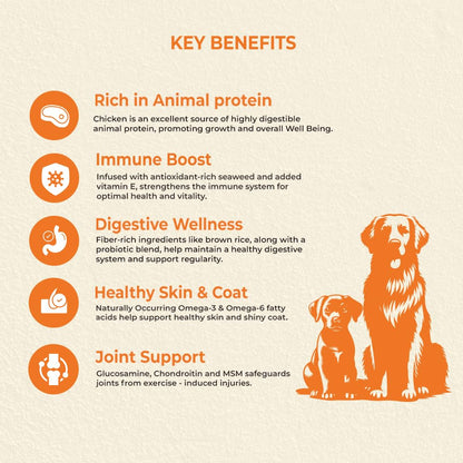 Brunos Dry Dog Food Mother & Puppy Starter - 250g (Pack of 1)| Chicken Recipe with Herbs | for Growing & Weaning Puppies | 32% Protein, 22% Fat | Supports Bone & Joint Health