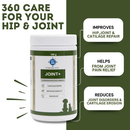 PET360 Joint+ Chondroprotective Formula - 100 gm | Hip, Joints, Cartilage Supplement for Dogs & Cats for Improved Mobility & Pain Relief with Glucosamine, Chondroitin, MSM | Suitable for All Breeds