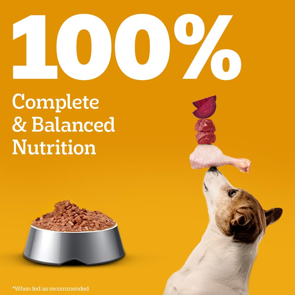Pedigree Adult Wet Dog Food, Chicken & Liver Chunks in Gravy, 70 g, Complete & Balanced Meal for Adult Dogs