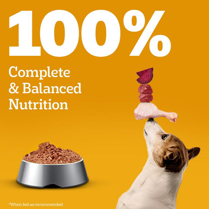 Pedigree Adult Wet Dog Food, Chicken & Liver Chunks in Gravy, 70 g, Complete & Balanced Meal for Adult Dogs
