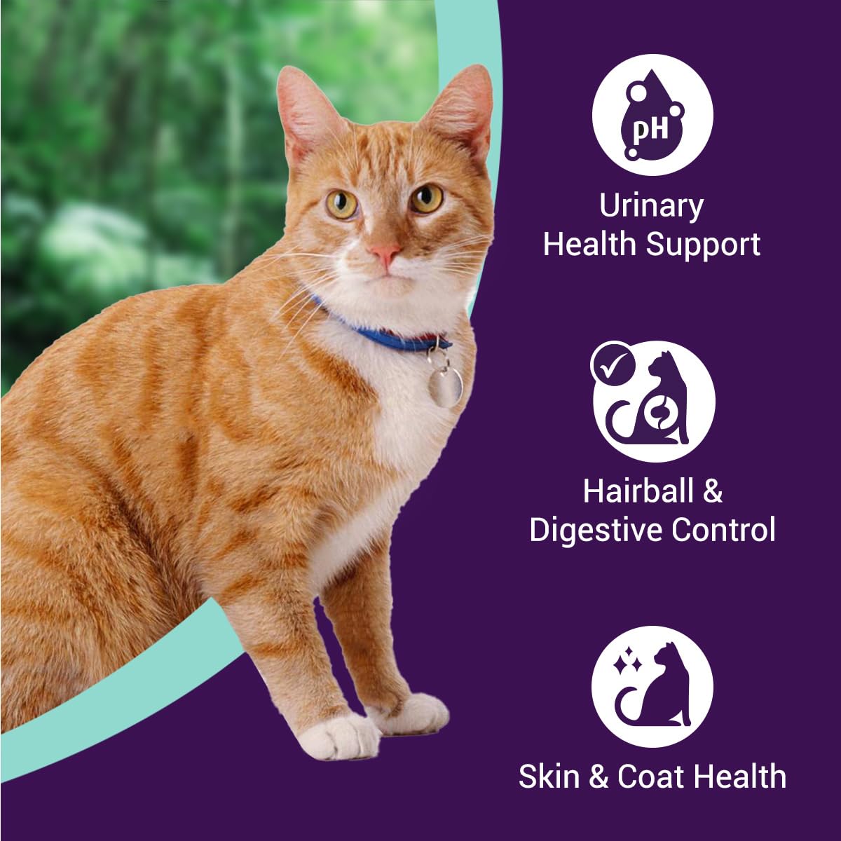 Purrfeto Adult Dry Cat Food | Chicken & Rice | 1.2 kg Ingredients | 40% Reduction in Urinary Track Diseases |Anti Hairball Formula |Healthy Skin & Coat |Improves Digestive Health