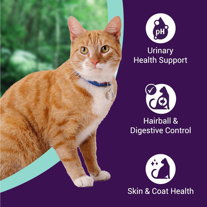 Purrfeto Adult Dry Cat Food | Chicken & Rice | 1.2 kg Ingredients | 40% Reduction in Urinary Track Diseases |Anti Hairball Formula |Healthy Skin & Coat |Improves Digestive Health