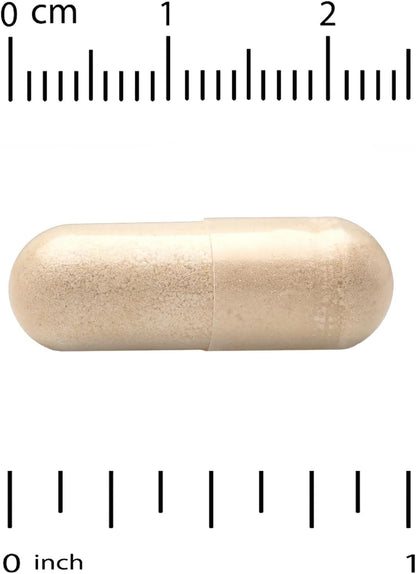Beige capsule pill with a ruler for scale on a white background