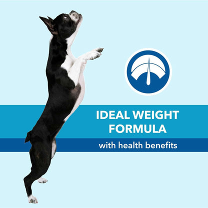 Purepet Adult Dry Dog Food 1kg | Chicken & Vegetable Flavour | Promotes Health & Vitality | Immune Support | Healthy Digestion | Nutrient Rich