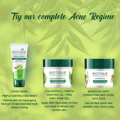 Biotique skincare products with product descriptions on a green leafy background