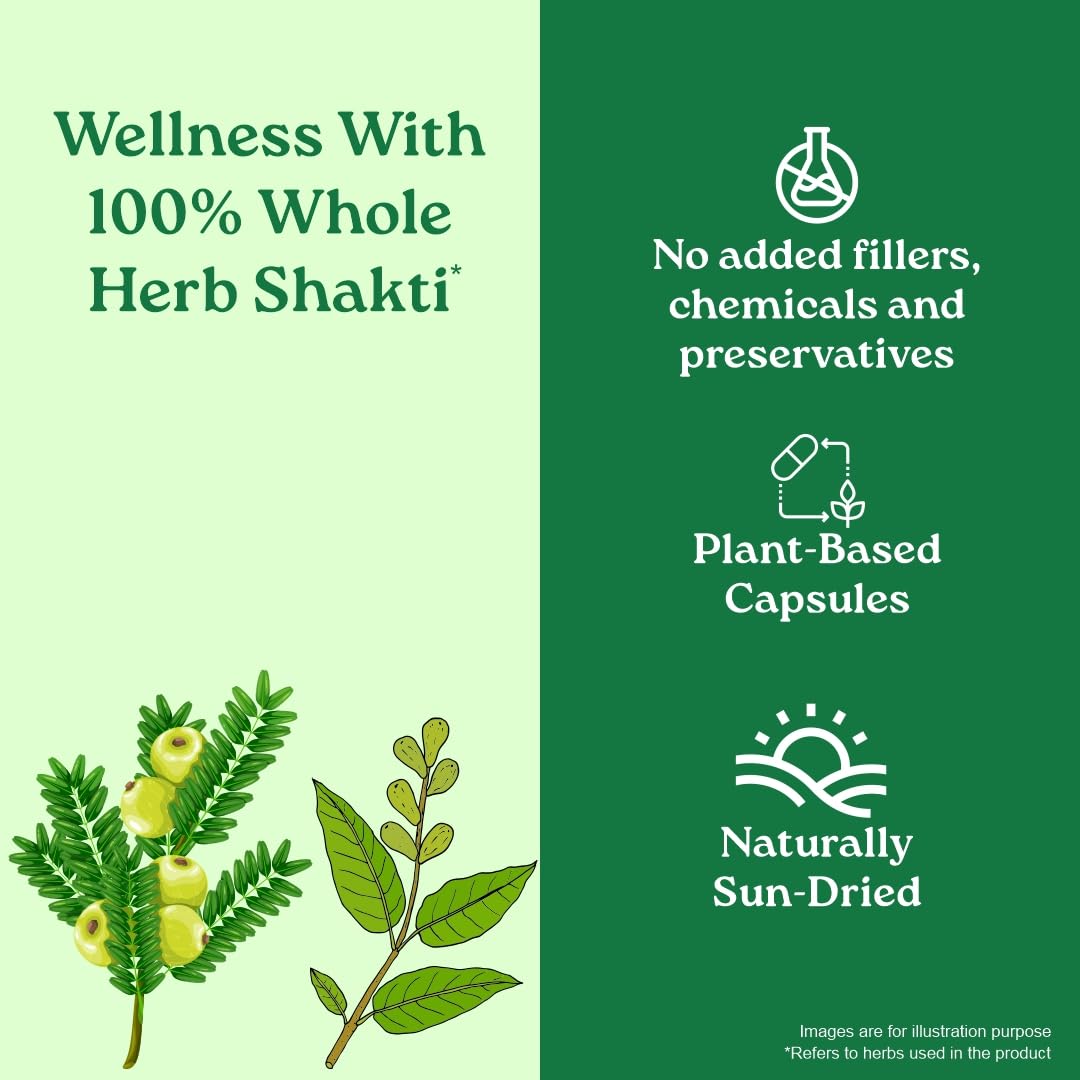 A TATA Product - Organic India Triphala Capsules - 60 Caps, Supports Immune System, Colon & Digestion, Balanced Bowel & Gut Health, Contains Bioactives and Antioxidants, GMP & NPOP Certified Organic