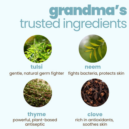 Illustration of tulsi, neem, thyme, and clove with text describing their benefits.