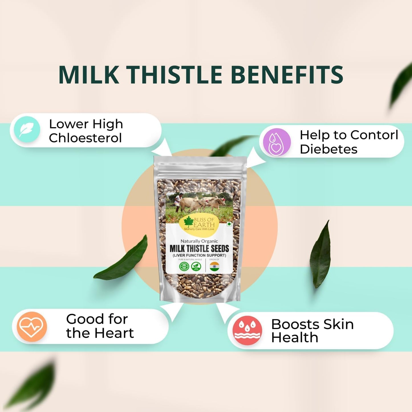 Bliss of Earth Milk Thistle Seeds Organic Super Food Great for Guts Health & Boost Immunity | Promotes Skin Health | High in Protein | 100GM