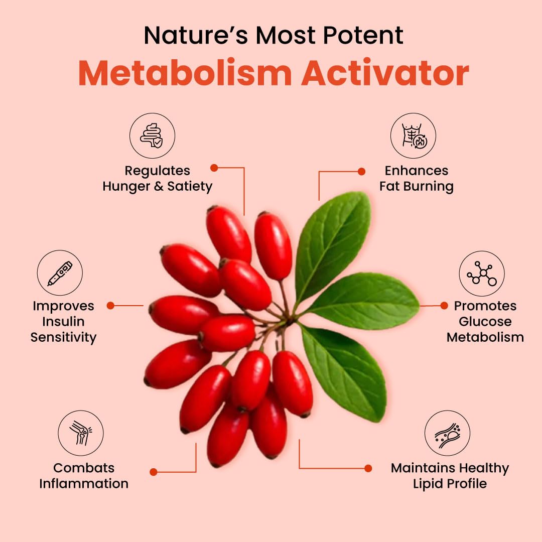 ZEROHARM Holistic Nano Berberine Supplement 98% Pure | Plant-based Berberine Tablets with 800mg per serving | Supports Blood Sugar, Metabolism, Cholesterol Levels & Hormonal Balance | 60 Tablets