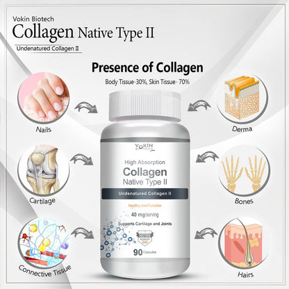 Vakin Biotech Collagen Native Type II supplement bottle with illustrations of body parts and text on a white background