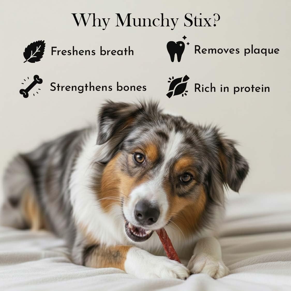 PETS EMPIRE Munchy Stix Dog Treats, Chicken | Mutton Flavour Chew Sticks | Healthy Reward Treats for Dogs | High Protein Daily Chews (1 kg, Mutton, Pack of 1)