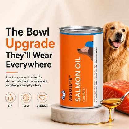 Drools Absolute Dog Supplement Syrup 300ml Jar | Salmon Flavour | All Breeds | Promotes Shiny Coat | Boosts Immunity | Aids Brain Development | Helps Prevent Skin Issues | Maintains Heart Health