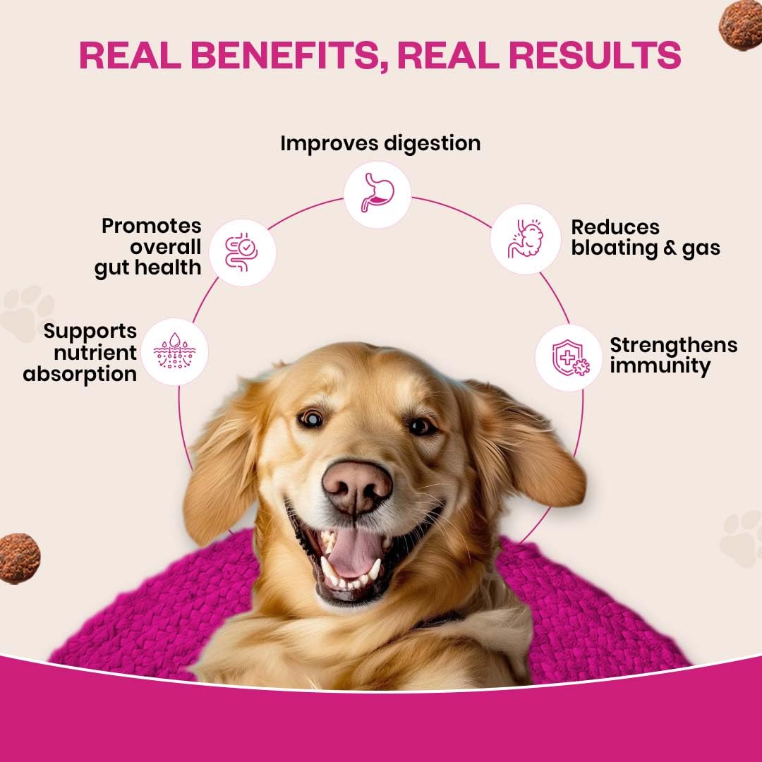 Probiotic Soft Chews Supplement for Dogs | Six Probiotic Strains for Gut Health & Digestion | Chicken Flavor | Supports Immune Function | 30 Soft Chews