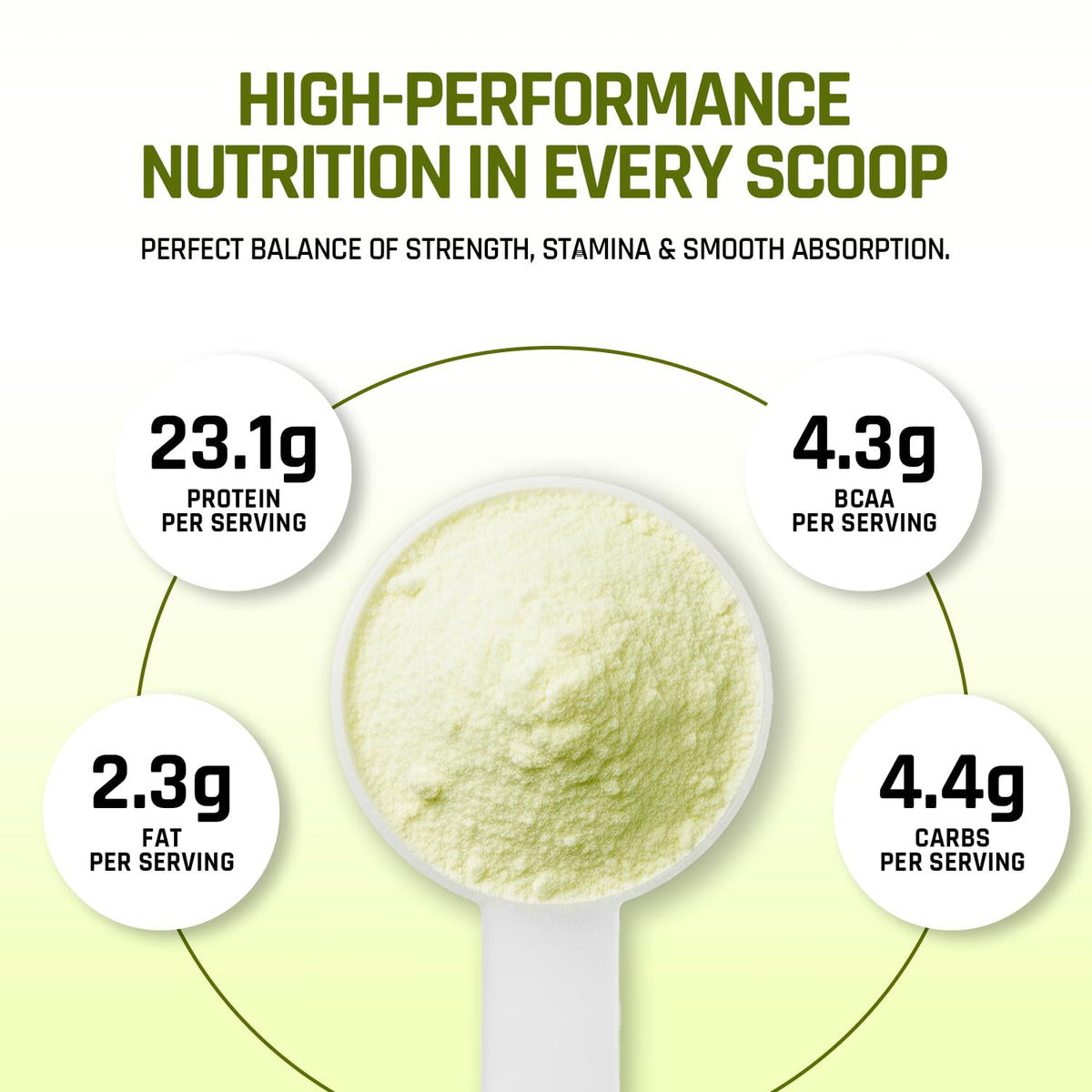 Spoonful of protein powder with nutritional information on a light green background