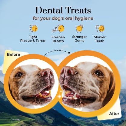 Dogsee Chew Bars, 100% Natural Himalayan Cheese Based Dental Chews for Dogs (Large Bars Pack of 1)