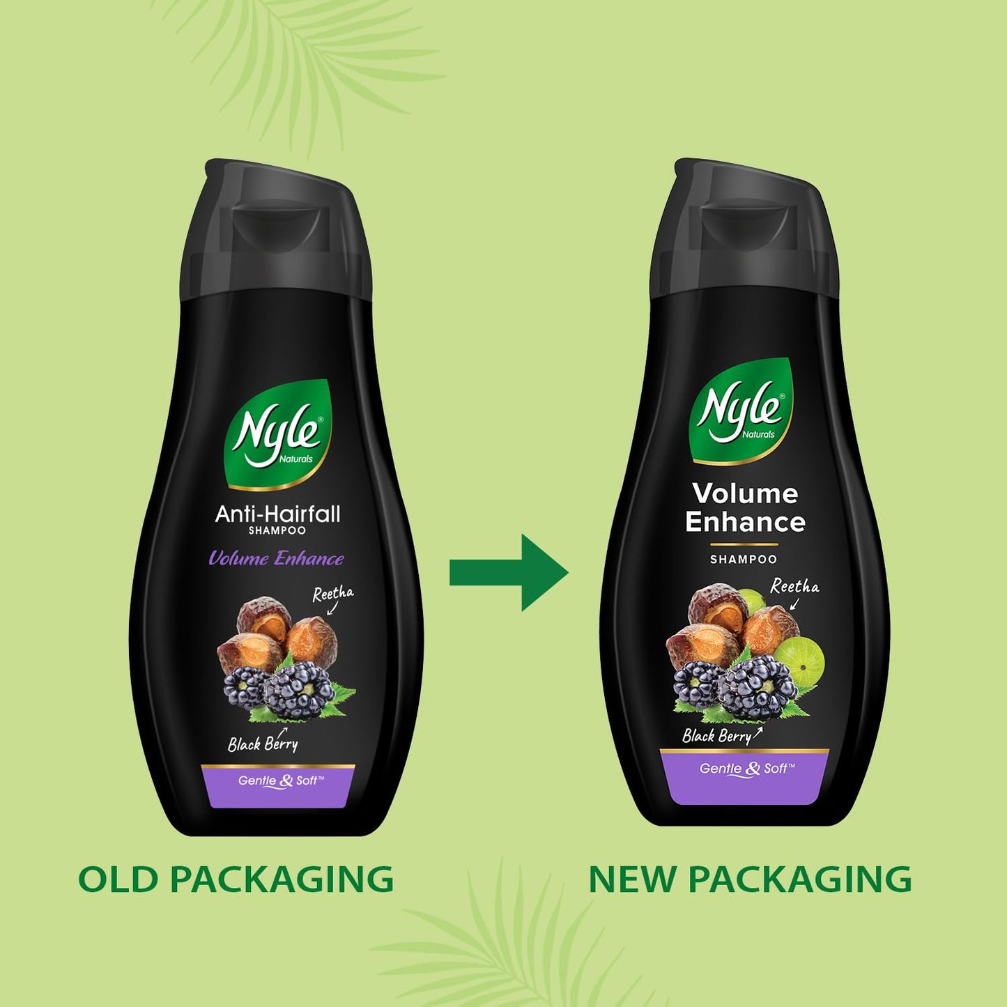 Nyle Naturals Volume Enhance Anti Hairfall Shampoo, With Reetha And Blackberry, 180ml, (NYAM0180VE03R)