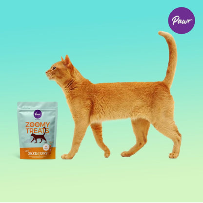 Pawr4Cats Zoomy Cat Treats | Classic Chicken Jerky | 50 GMS | Air Dried | No Preservatives,All Life Stages