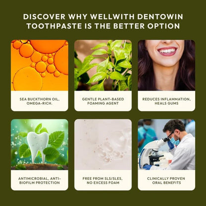 Wellwith(Ayuzera) DentoWin(100g, Pack of 1) Herbal Gum Care Toothpaste with Himalayan Sea Buckthorn Berry, Tulsi & Neem, Teeth Whitening - Natural Formula, No Fluoride