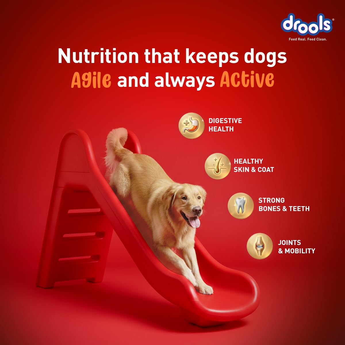 Drools Adult Dry Dog Food 1kg | Turkey and Pumpkin Flavour | Supports Skin Nourishment and Coat Radiance | Promotes Healthy Digestion | Natural Antioxidants | Strengthen Immunity