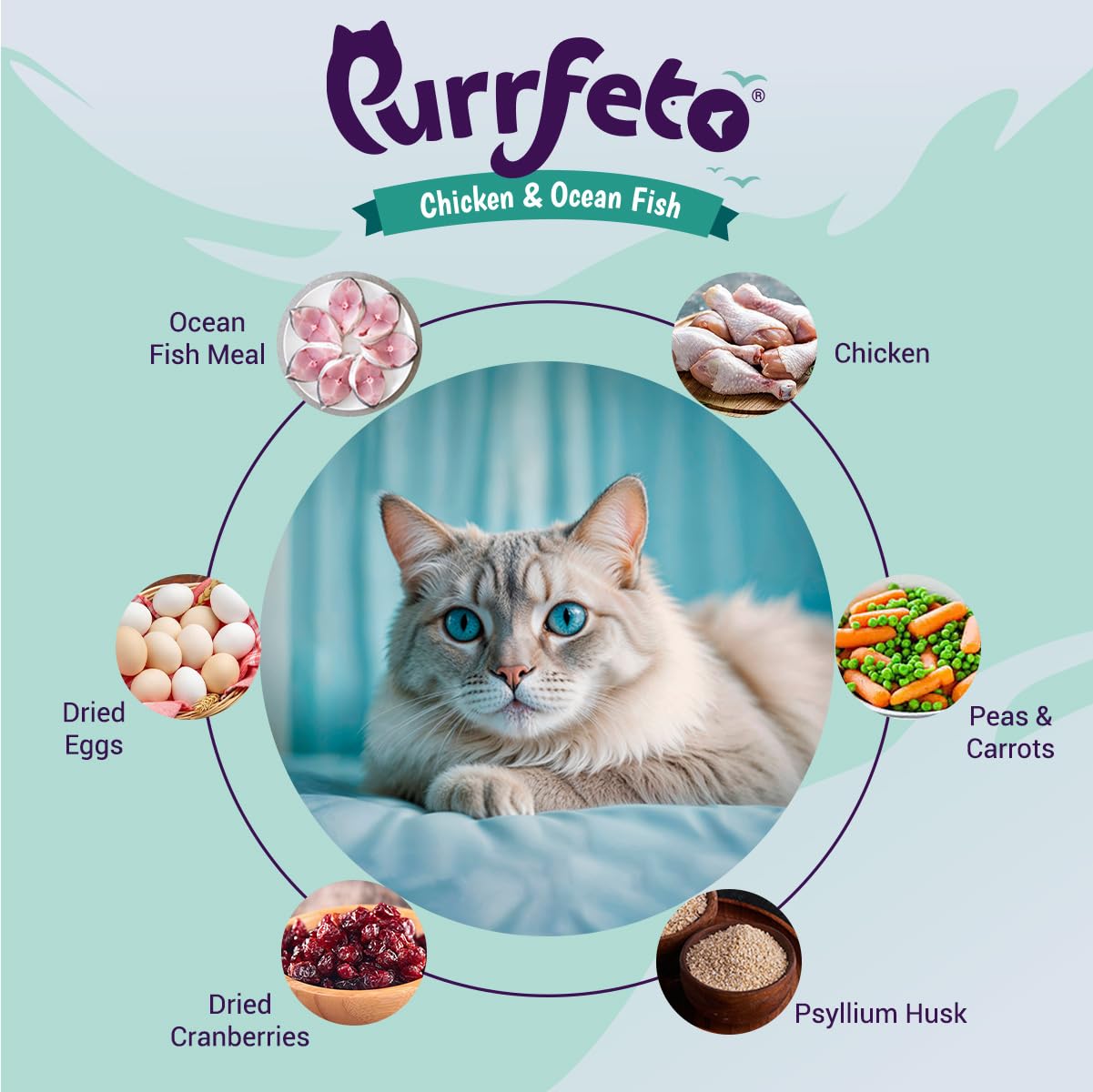 Purrfeto Adult Dry Cat Food | Chicken & Rice | 1.2 kg Ingredients | 40% Reduction in Urinary Track Diseases |Anti Hairball Formula |Healthy Skin & Coat |Improves Digestive Health