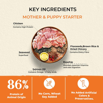 Brunos Dry Dog Food Mother & Puppy Starter - 250g (Pack of 1)| Chicken Recipe with Herbs | for Growing & Weaning Puppies | 32% Protein, 22% Fat | Supports Bone & Joint Health