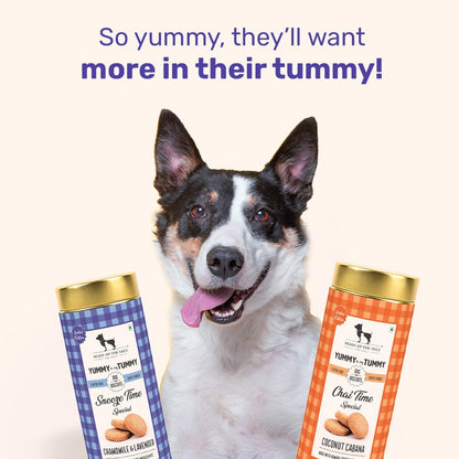 Yummy in My Tummy by HUFT Snooze Time Chamomile & Lavender Dog Biscuits – 200 gm | Calming Gluten-Free Vegetarian Treats for Puppies & Adult Dogs | Crunchy & Healthy Snack for All Breeds Dogs
