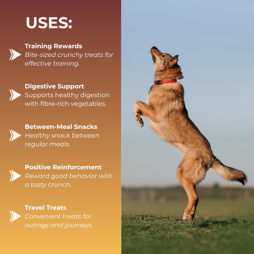 TailTrums Dog Sticks – Veggie Sticks 900g | Healthy Dog Food | Freshly Baked Dog Treats | All-Natural & Preservative-Free | Dog Dental Stick | Human-Grade Ingredients (All Breeds)