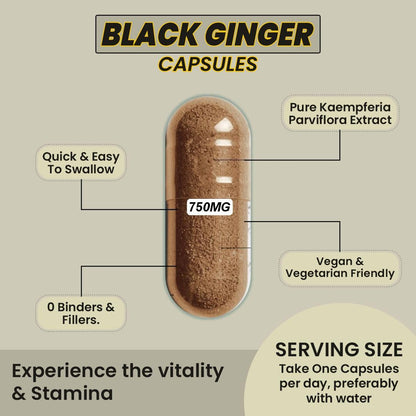 Black Ginger Capsules 500mg (60 Capsules) Which Improves Digestion & Boosts Immunity