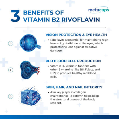 MetaCaps Vitamin B2 Riboflavin– 90 Veg Capsules | High-Potency Metabolic Spark for Energy & Mitochondrial Support | Promotes Neurological Health & Vision