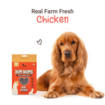Yum Nums by HUFT Soft & Chewy Sticks - 200 gm | Real Chicken | Dog Training Treats | Healthy Dog Snacks | Dog Treats for Puppies & Adults | Pet Chews & Tasty Rewards