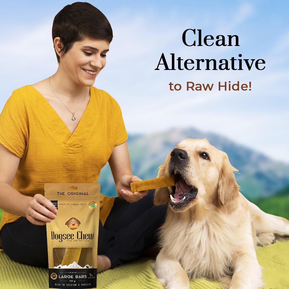 Dogsee Chew Bars, 100% Natural Himalayan Cheese Based Dental Chews for Dogs (Large Bars Pack of 1)