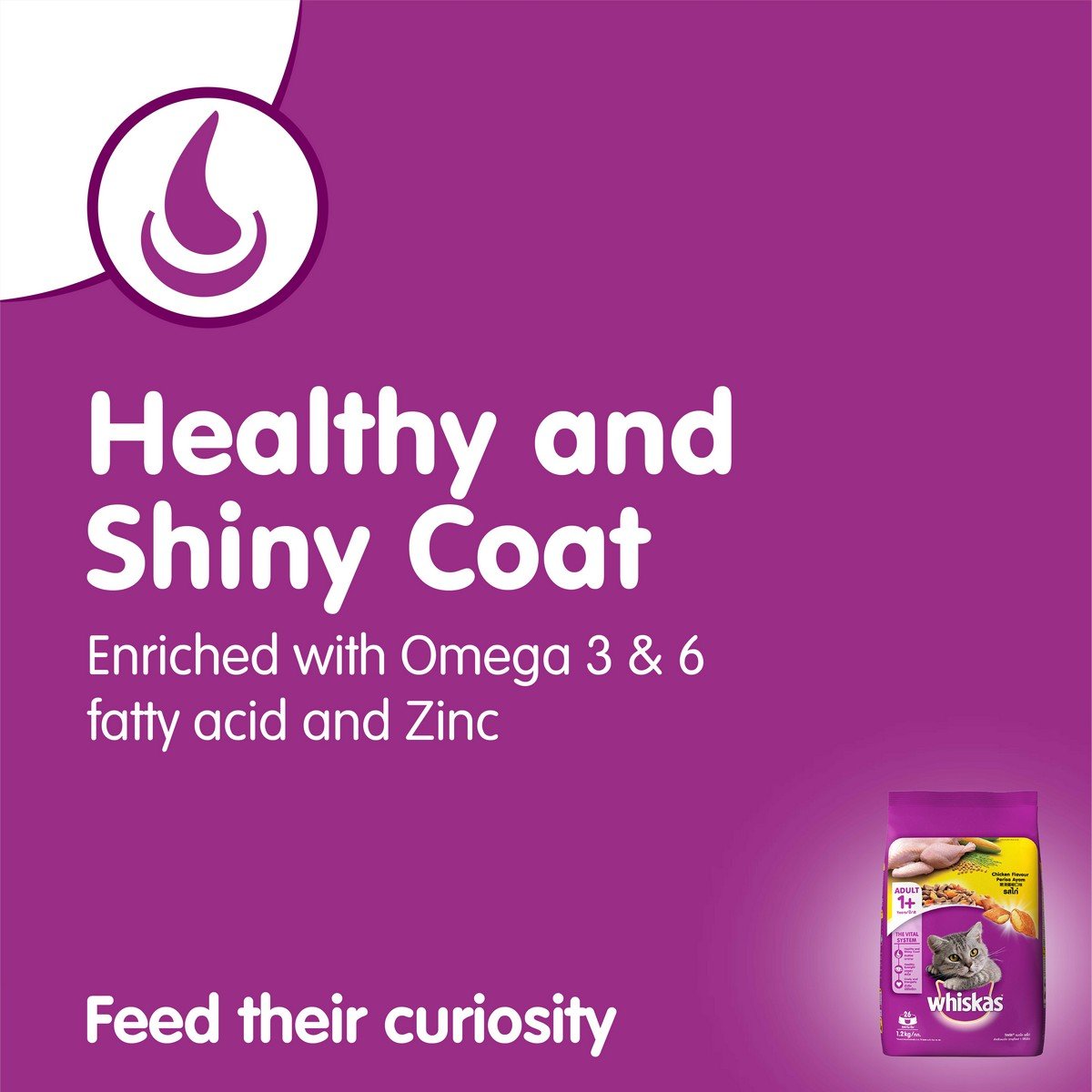 Whiskas Adult (+1 year) Dry Cat Food , Chicken Flavour, 1.2kg Pack